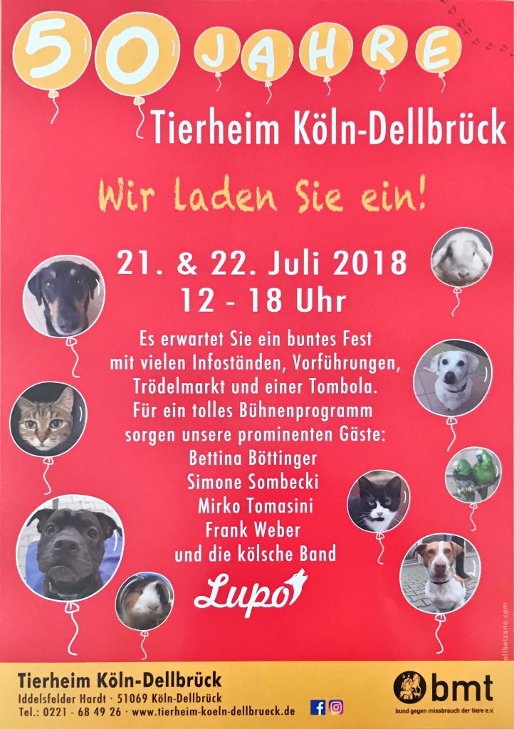 Tierheim Dellbrueck Einladungsflyer 50 Jahre